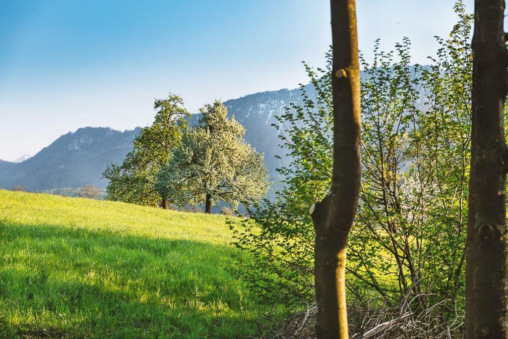 Auszeit Beim Oswald Villa Micheldorf in Oberösterreich Екстериор снимка